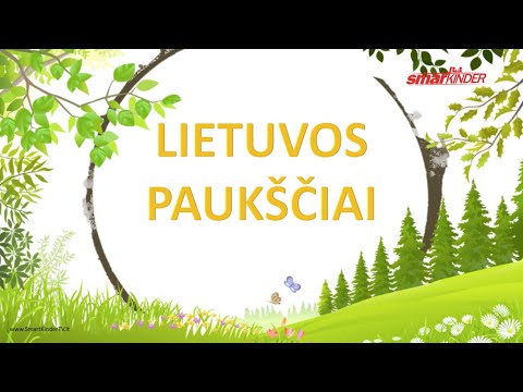 Video: Kaip Pavadinti Paukštį