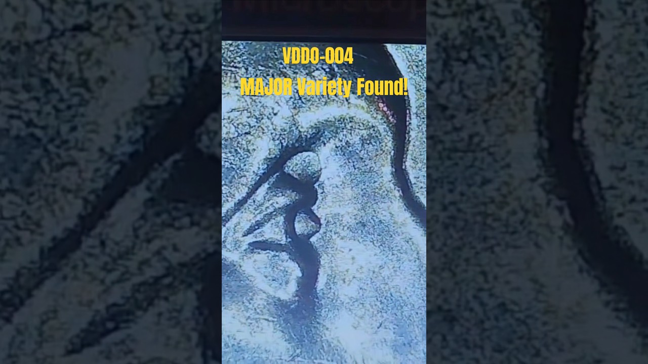 MAJOR VARIETY: Patsy Takemoto Mink VDDO-004 Found CRH 