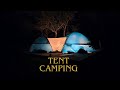 Tent Camping Under the Stars