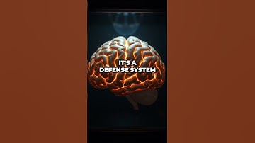 Secrets Your Brain Hides 🤯
