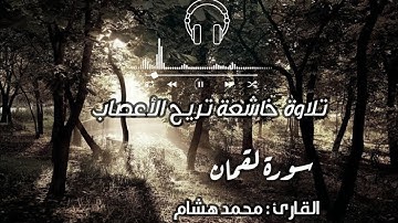 تلاوة هادئة سورة لقمان (كاملة ) بصوت محمد هشام حسن 🎧🤍⁦❤️⁩
