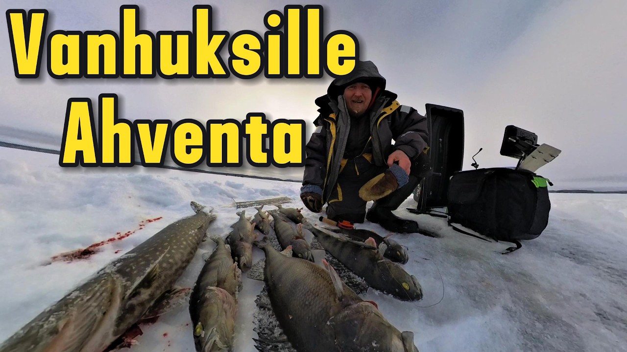 Pilkitään isoa Ahventa vanhuksille.