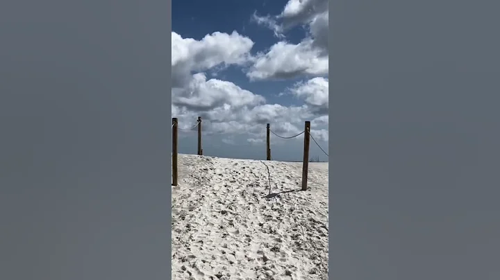 A Visit to the Beach - DayDayNews