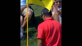 GREATEST chip in GOLF history Tiger #golf #golffun #tigerwoods #golfshots