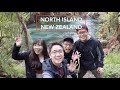 North Island | New Zealand Road Trip | Travel Adventure