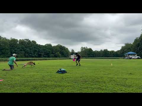 Finn Proctor & Banana Men's Unlimited Plastic Xtreme Distance Record (302')