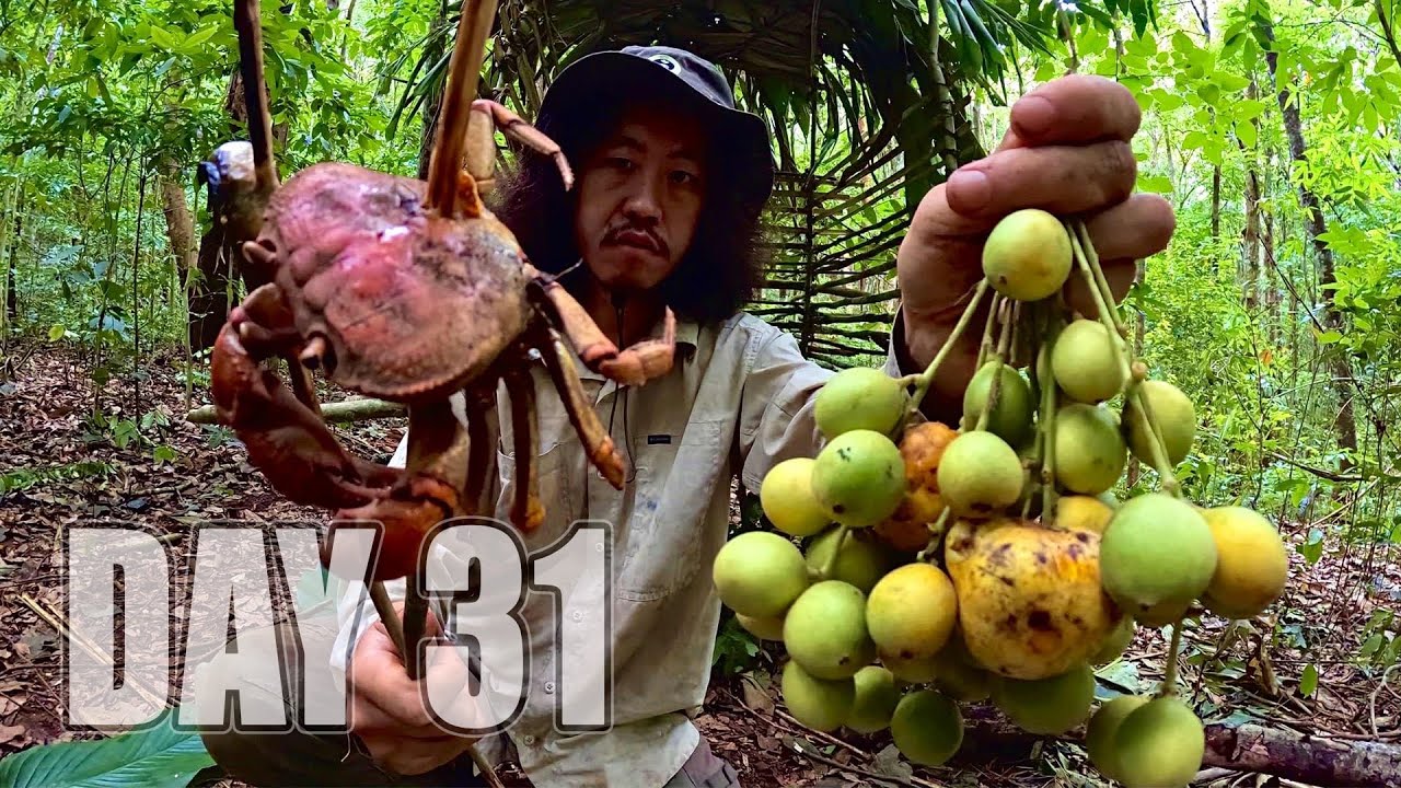เอาชีวิตรอด DAY 31 ผลไม้ป่าและการเตรียมออกหาอาหารยามค่ำคืน..!! [ โจโฉ ]