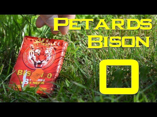  Petard Bison 20