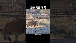 사실 나도 너한테 의지 많이 했어