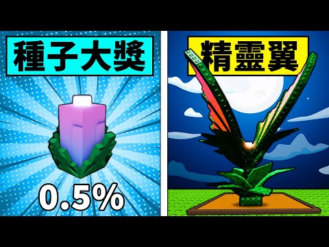 【培養花園】最漂亮種子大獎精靈翼!僅次於骨花浣熊偷偷的好選擇!【Grow a Garden】【Roblox】【機械方塊】 image