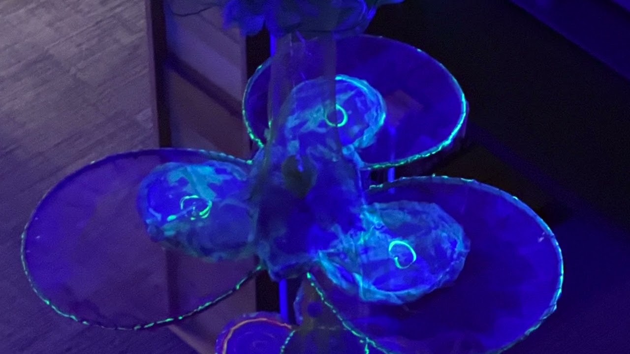 The Atrium Flower Garden: A Community Art Project