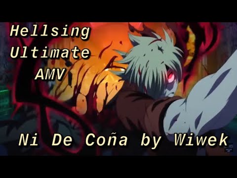 Hellsing Ultimate AMV/ Ni de Coña by Wiwek/ The Police Girl