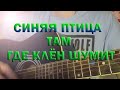 Синяя птица Там где клён шумит cover