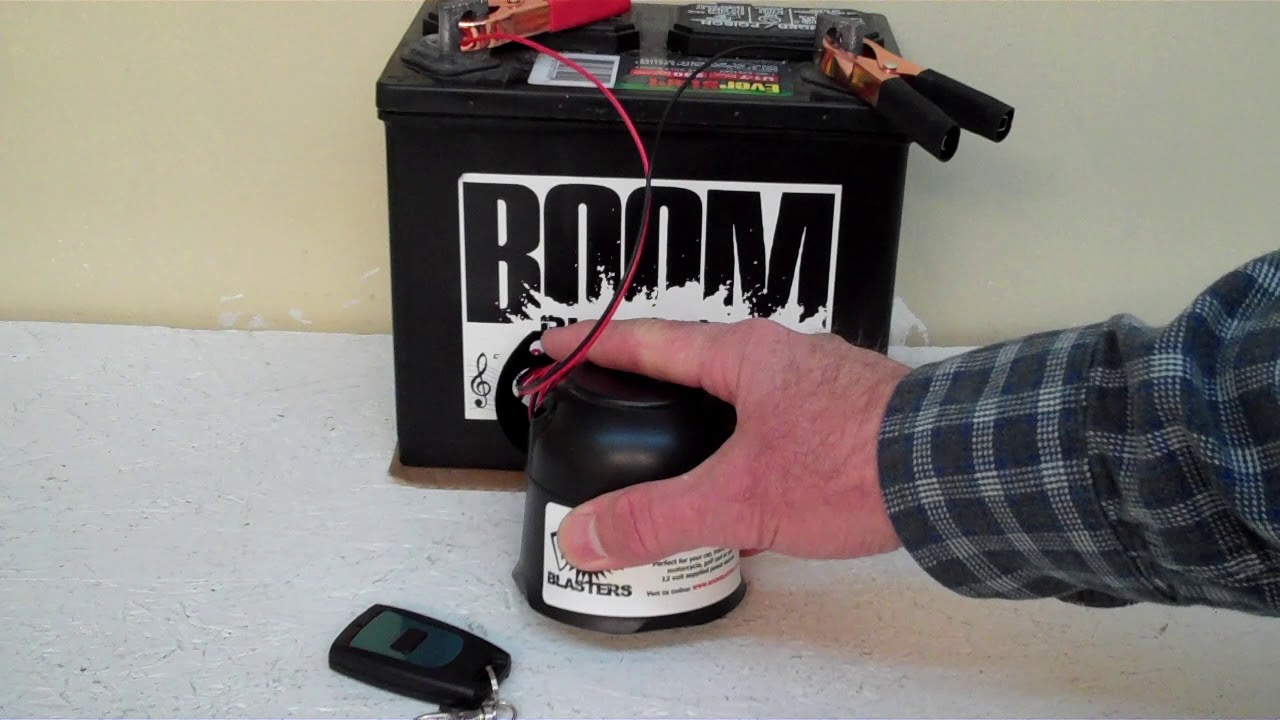 Horse Whinny Sounds Car Horn 1 Wireless YouTube