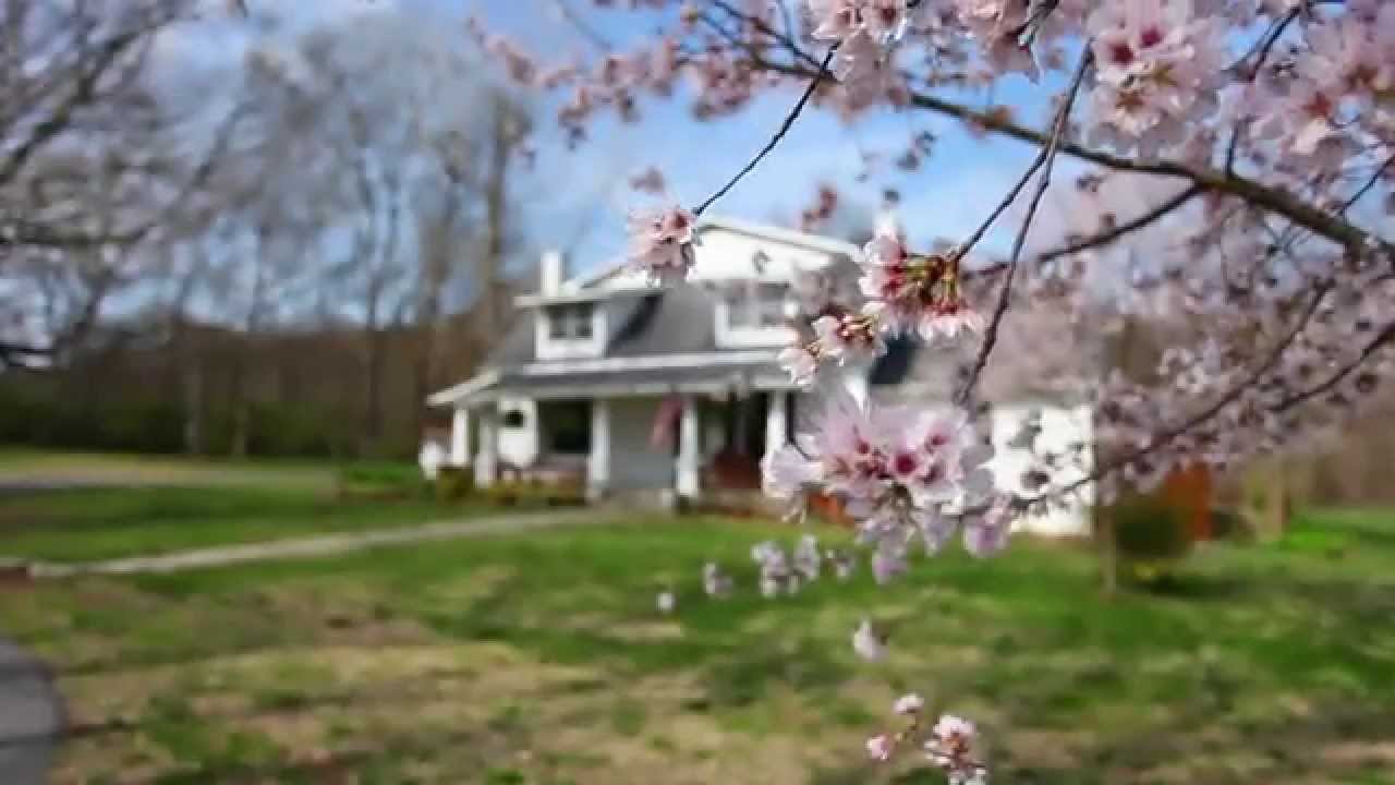 1847 Carters Creek Pk Franklin, TN House For Sale YouTube