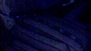 Download Lagu foto van roos. Pamela zoektocht naar vriezer ''zucht'' MP3