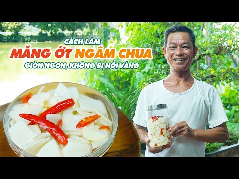 Video: Công Thức Muối Nấm Không Dấm