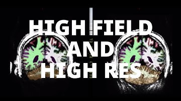 [FreeSurfer] HighField and Submillimeter Pipelines