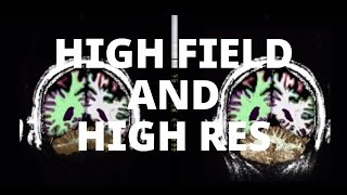 [FreeSurfer] HighField and Submillimeter Pipelines