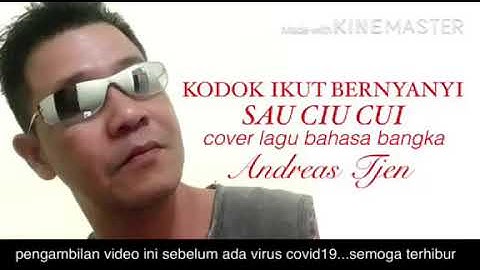Cover KODOK IKUT BERNYANYI (sau ciu cui ) by Andreas Tjen || versi bahasa Bangka