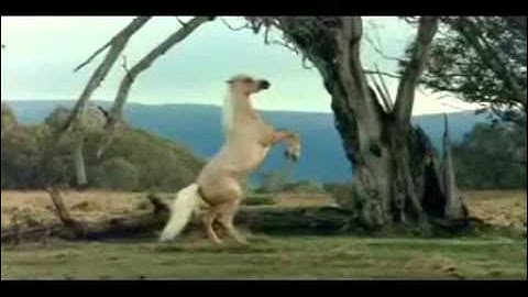 I will always return Mustangs/Movies