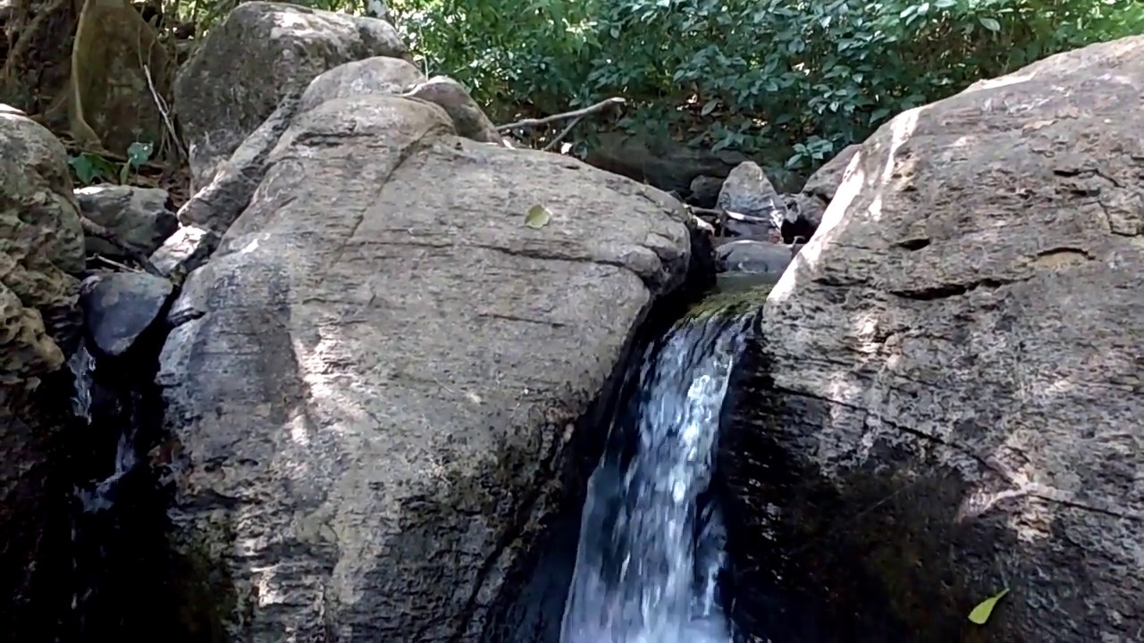 Being In The Forests Of Galibeedu