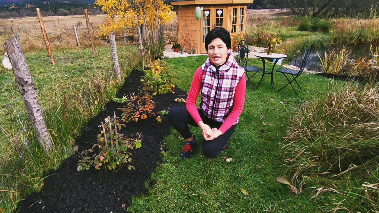 Zakládání záhonu bez rytí...