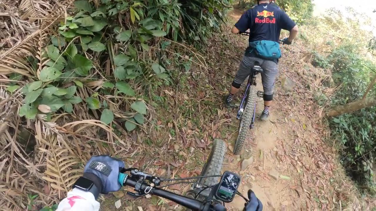 開心路兩條友換車，德文踩人力車變得精神 20260223