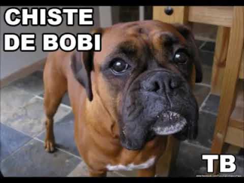 Gracioso muy gracioso - YouTube