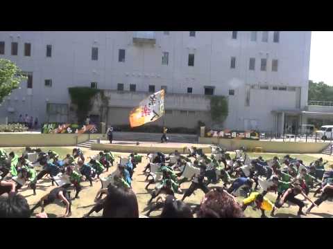 大阪大学祭楽人 いちょう祭2015 宙横(南中ソーラン)