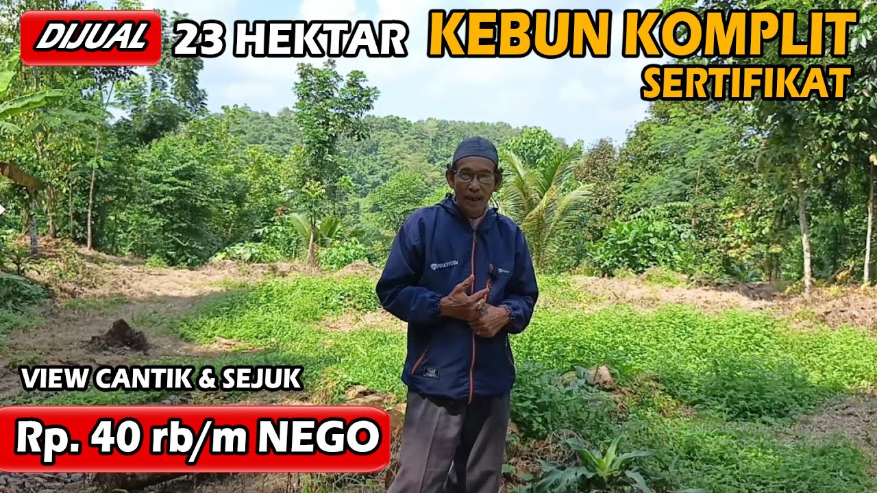 DIJUAL LAHAN KEBUN 23 HEKTAR MURAH. KOMPLIT BUAH DAN POHON