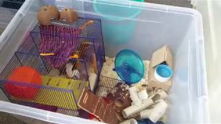 Muis Cage Tour Muisjes Kooi