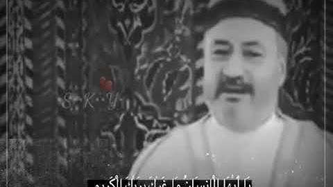 اجمل تلاوه حزينه /القران الكريم بطور عراقي / عامر الكاظمي / اجمل حالات واتس اب