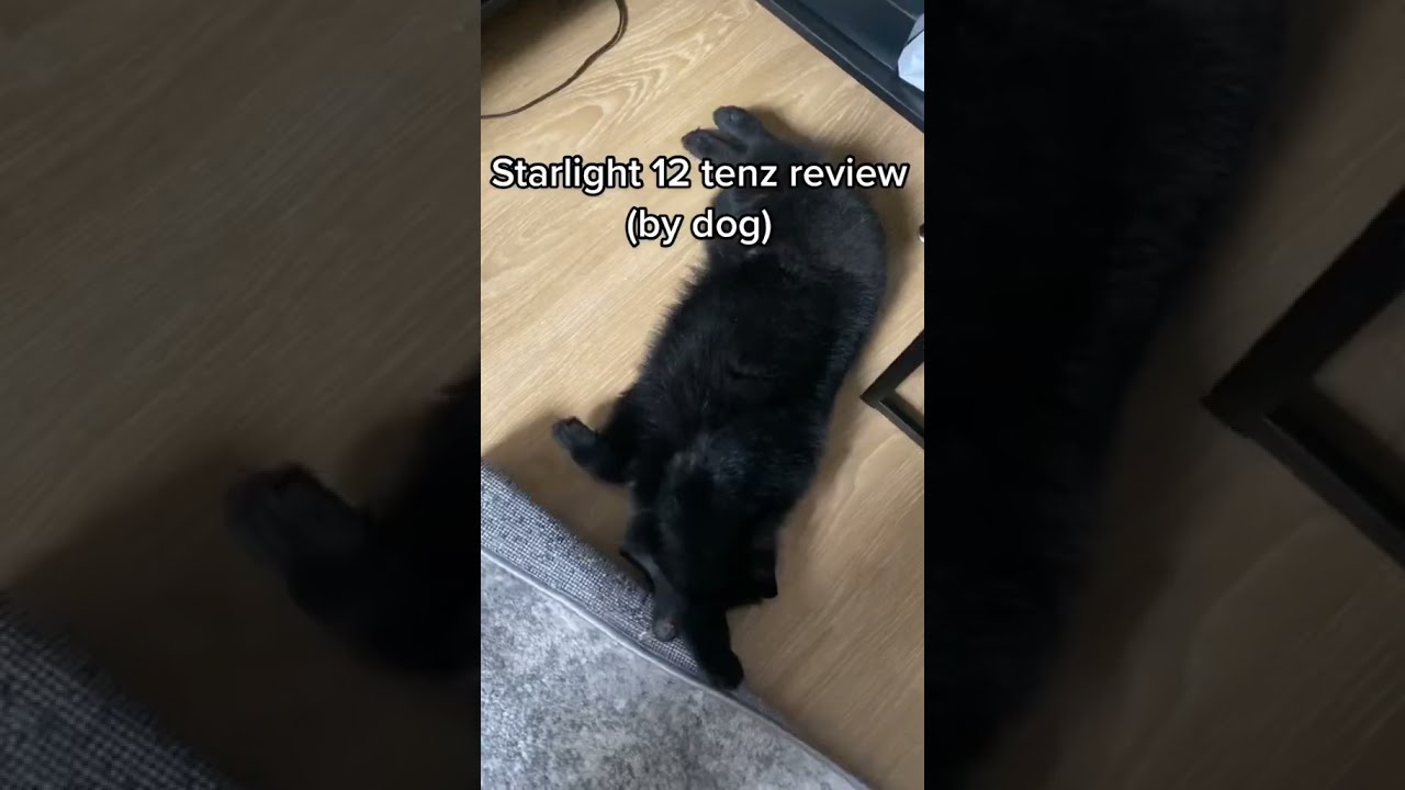 HONEST Finalmouse Starlight Pro TENZ Review