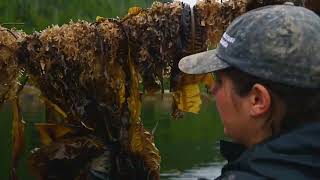 Regenerative Ocean Farm — Kelp Harvest 2023