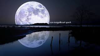 Non-Insignificant Speck - Jaykob