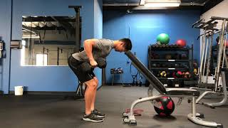 2-DB Head-Supported Bent-Over Rows