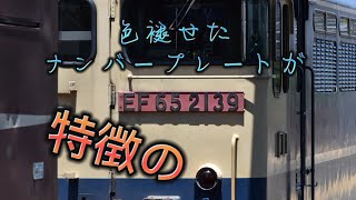 5087レ EF65-2139 稲沢発車の様子