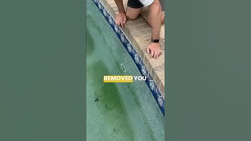 How to WINTERIZE a POOL (Save $100s)