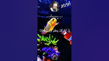 #سورة النساء الآيات 29 30 31 الشيخ_حسن_صالح