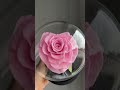 Ewige rosa Herz-Rose im Glas Langlebige Rose im Glaskuppel mit Geschenkbox Lieferung deutschlandweit