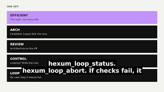 Hexum Loop — no next step if tests fail