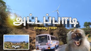 அட்டப்பாடி- ல அப்படி என்ன இருக்கு..😱 Oneday Trip 4K  | Sightseeing | Kerala #travel #trending #viral