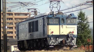 EF64-1053単機回送