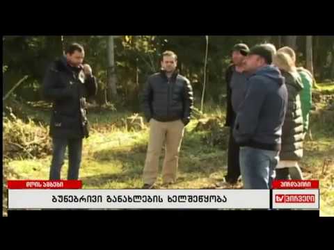 ტყის ბუნებრივი განახლების ხელშეწყობის პროექტი