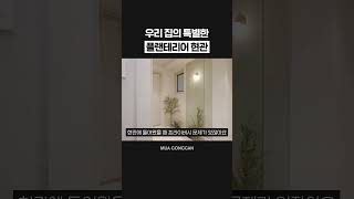 우리 집의 특별한 플랜테리어 현관 #인테리어