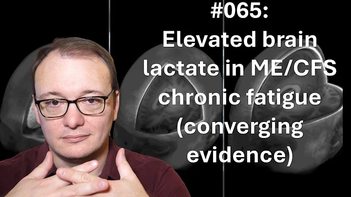 065 - Elevated brain lactate in ME/CFS chronic fatigue (converging evidence)
