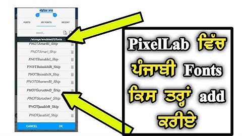 PixelLeb ਵਿੱਚ ਪੰਜਾਬੀ Font ਕਿਸ ਤਰਾਂ Add ਕਰੀਏ | How To Add Punjabi Fonts In PixelLeb | Editor Saab