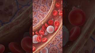 CONTENT FOCUS (DIGESTIVE BLOOD DYNAMICS) #lifeisbutadream #handpumpautomationmotorfixing