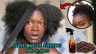 I’M STILL SHOCKED ! I used cloves on my hair everyday for 2 weeks and this happened